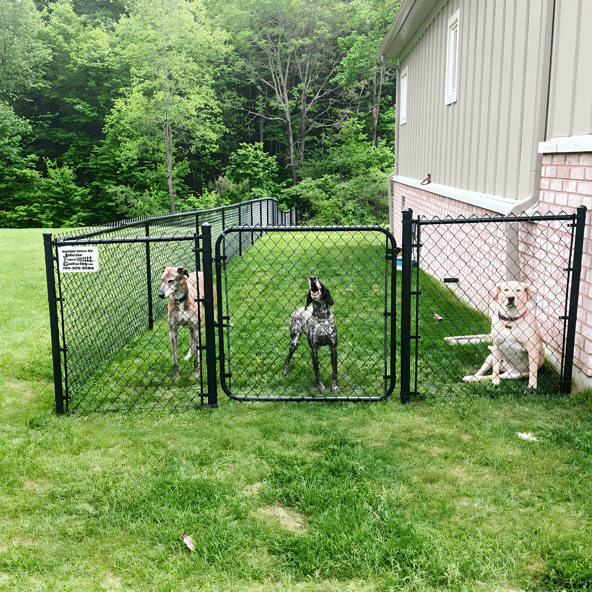Orillia chain link dog run fencing and kennel fences by johnston fence contracting - orillia, ontario